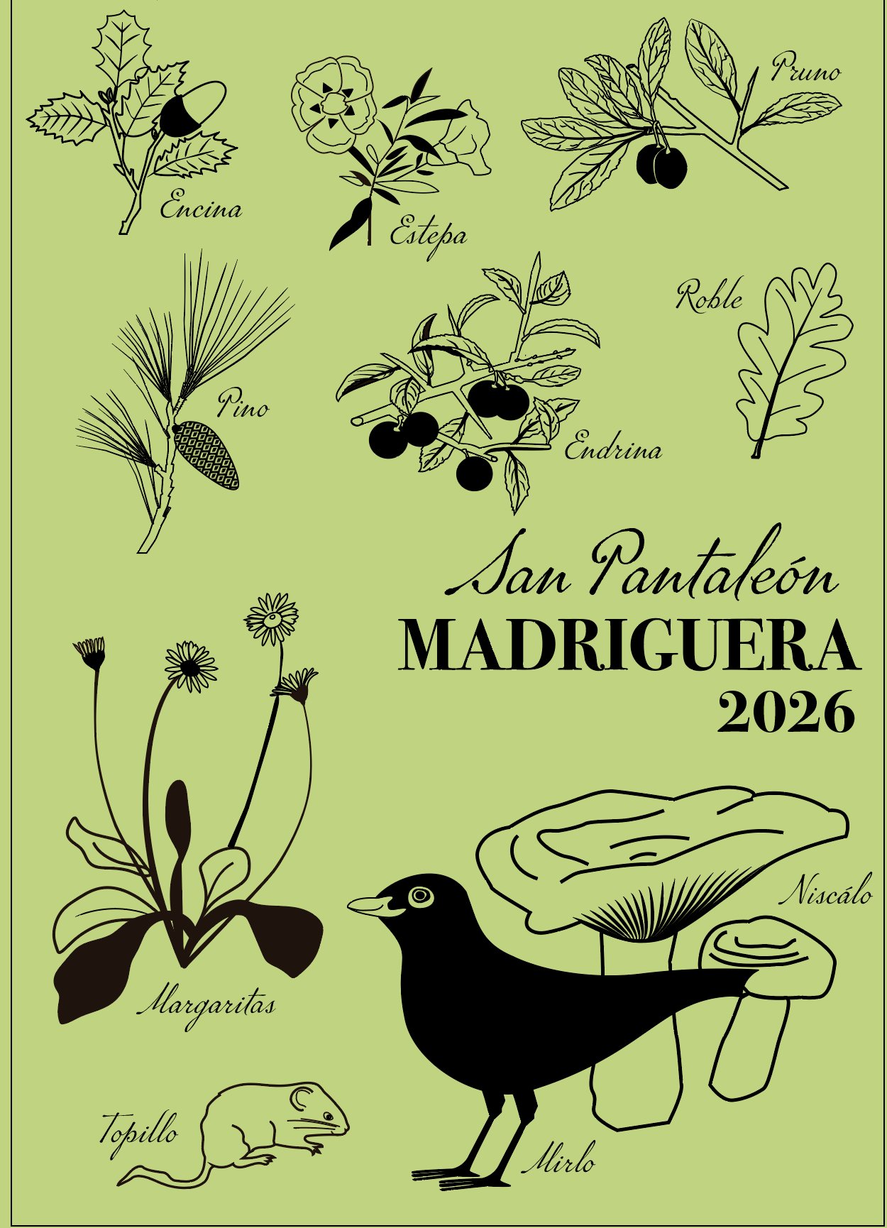 San Pantaleón · Madriguera 2026